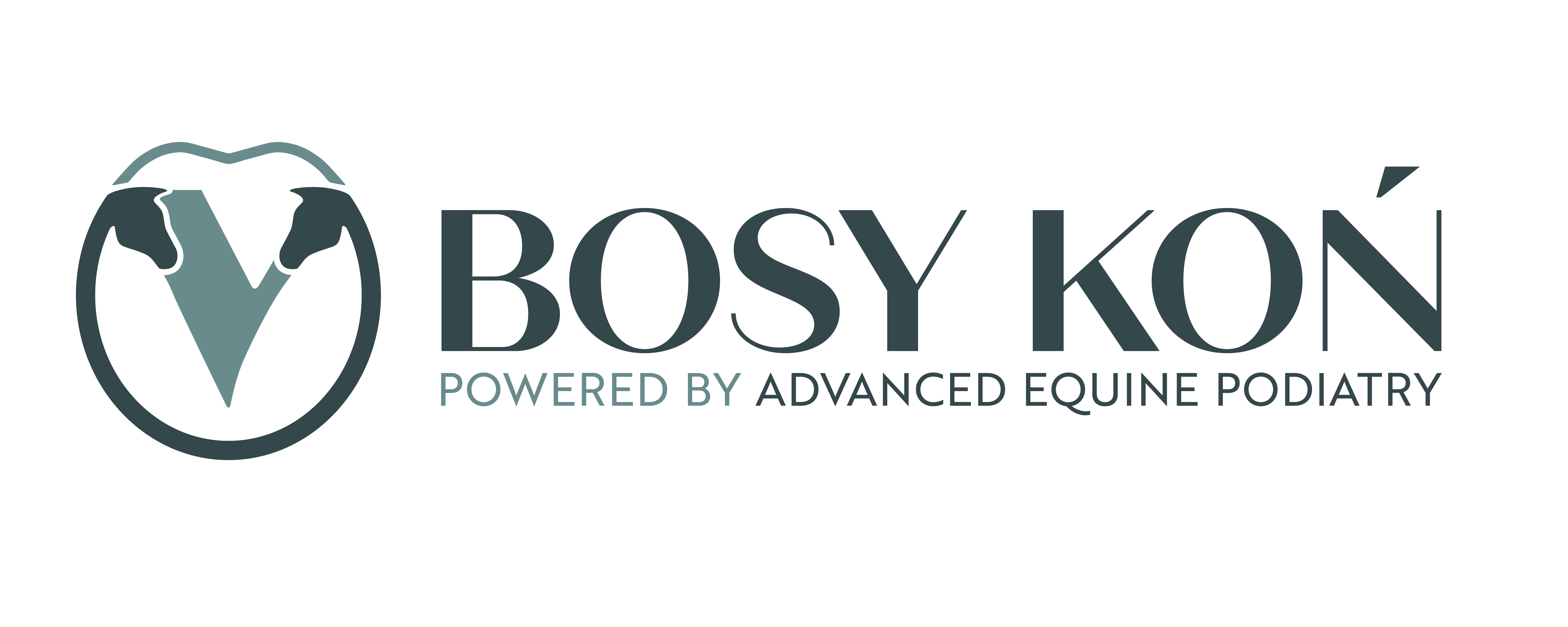 BosyKoń