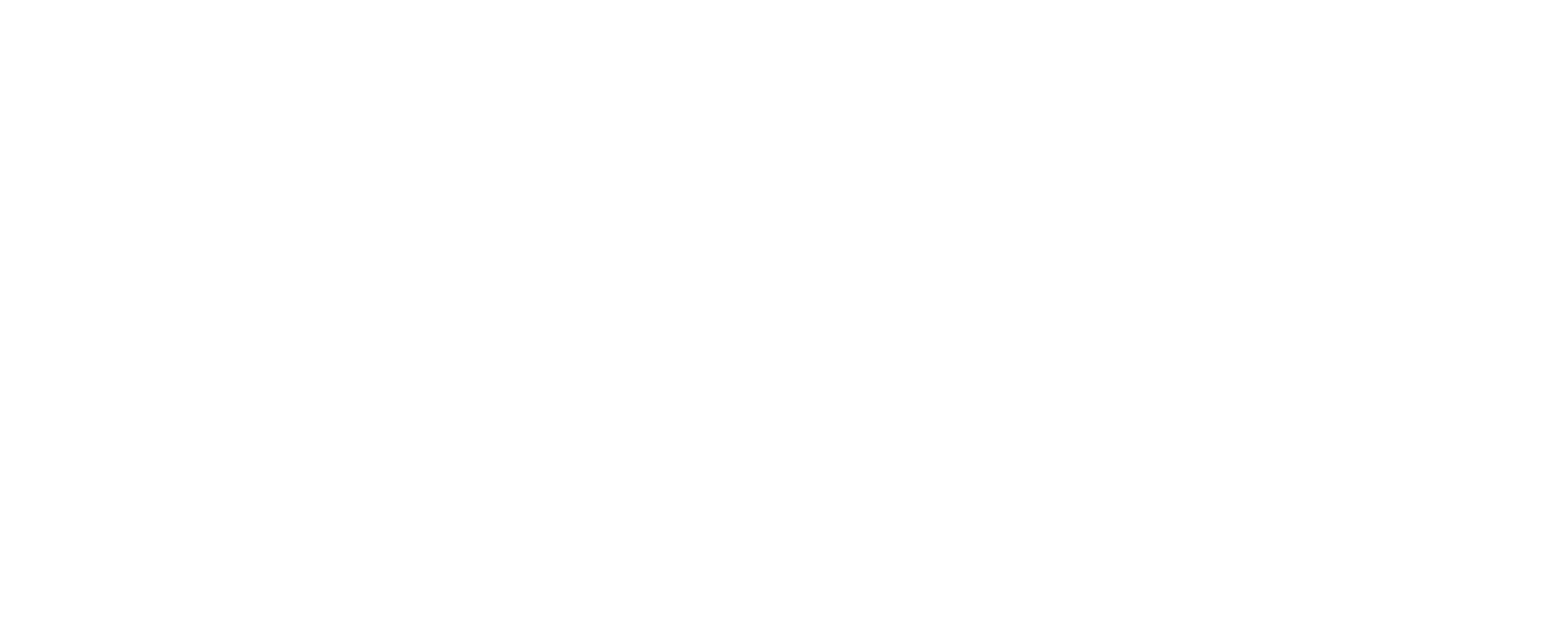 BosyKoń